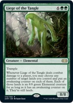 Liege of the Tangle