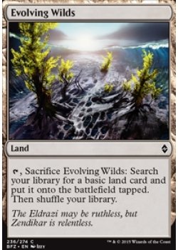 Evolving Wilds