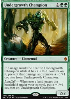 Undergrowth Champion