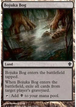 Bojuka Bog