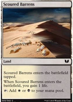 Scoured Barrens