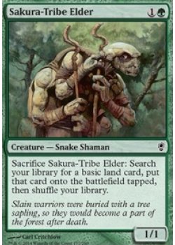 Sakura-Tribe Elder