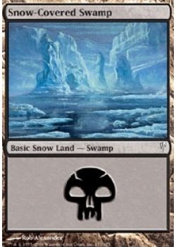 Snow-Covered Swamp