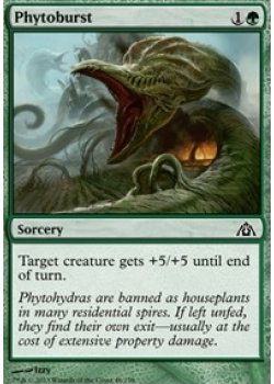 Phytoburst - Foil