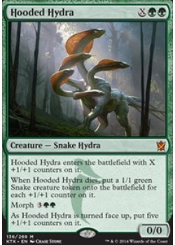 Hooded Hydra