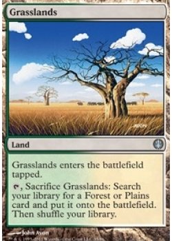 Grasslands