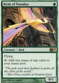 Birds Of Paradise - Foil