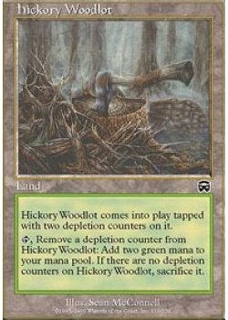 Hickory Woodlot