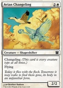 Avian Changeling