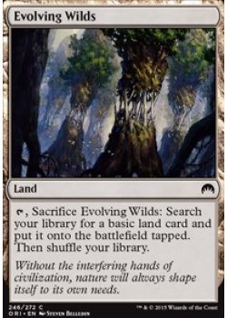 Evolving Wilds - Foil