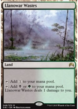 Llanowar Wastes