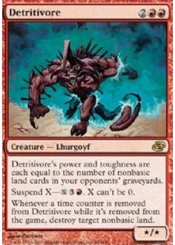 Detritivore