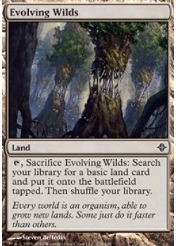 Evolving Wilds