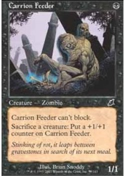 Carrion Feeder