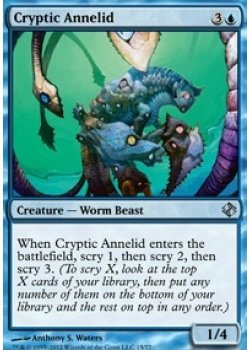 Cryptic Annelid