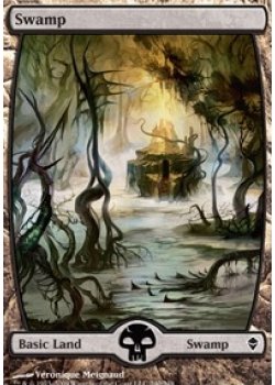 Swamp (240 Full Art)