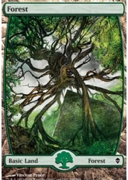 Forest (249 Full Art)