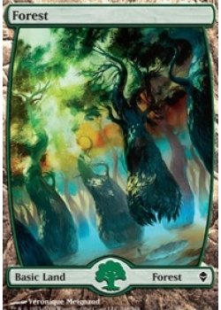 Forest (248 Full Art)