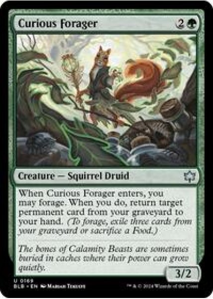 Curious Forager Foil