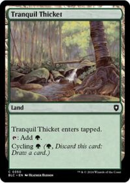 Tranquil Thicket