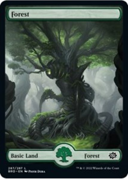 Forest (287) - Full Art