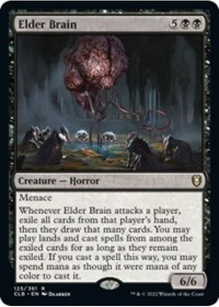 Elder Brain