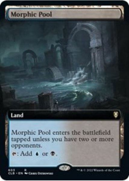 Morphic Pool (Extended Art) - Foil