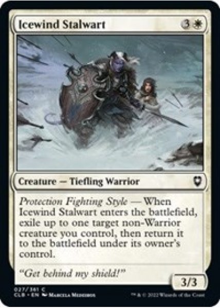 Icewind Stalwart - Foil