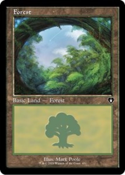 Forest (451) (Retro Frame) - Foil