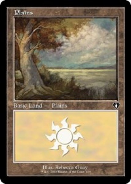 Plains (438) (Retro Frame) - Foil