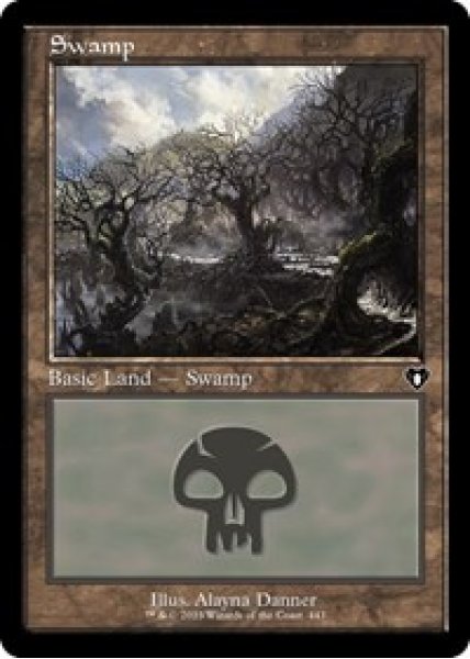 Swamp (443) (Retro Frame) - Foil