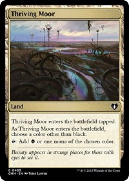 Thriving Moor - Foil