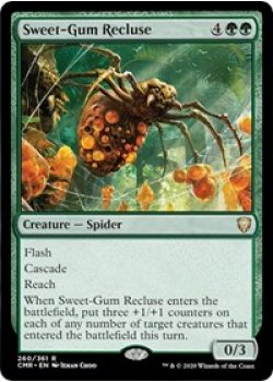 Sweet-Gum Recluse