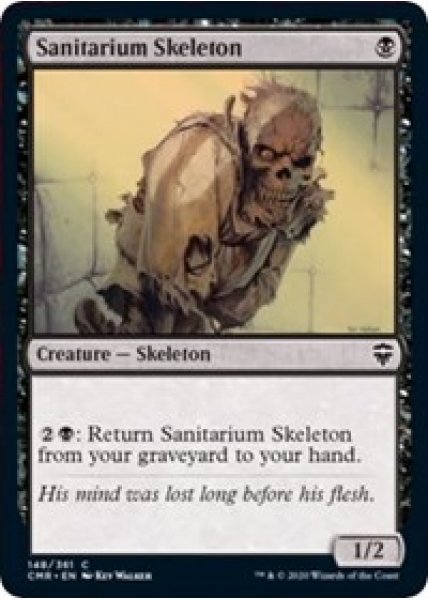 Sanitarium Skeleton