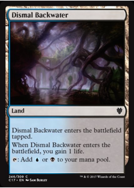 Dismal Backwater