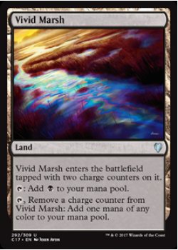 Vivid Marsh