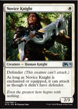 Novice Knight