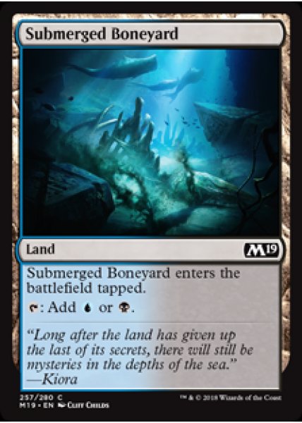 Submerged Boneyard