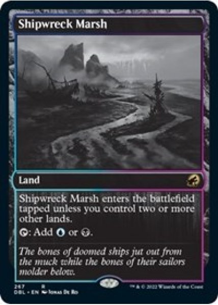 Shipwreck Marsh