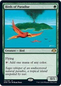 Birds of Paradise - Foil