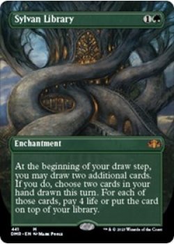 Sylvan Library (Borderless) - Foil