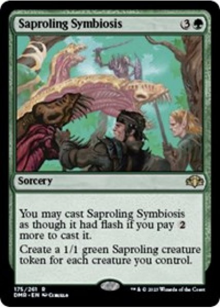 Saproling Symbiosis