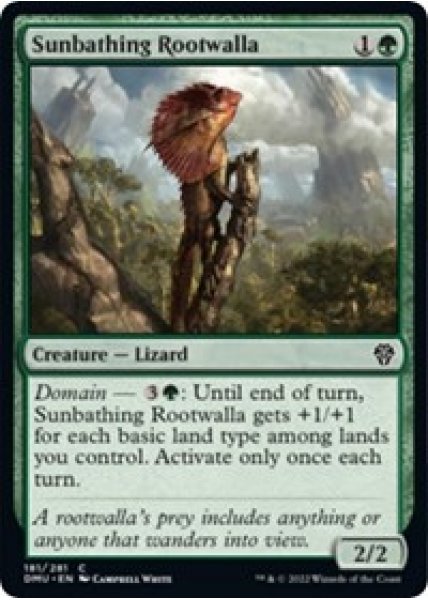 Sunbathing Rootwalla - Foil