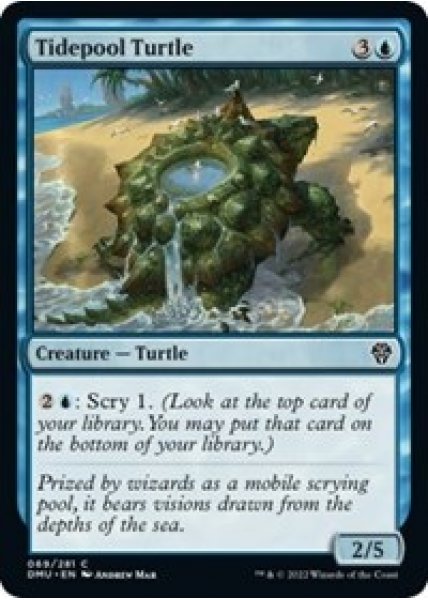 Tidepool Turtle - Foil