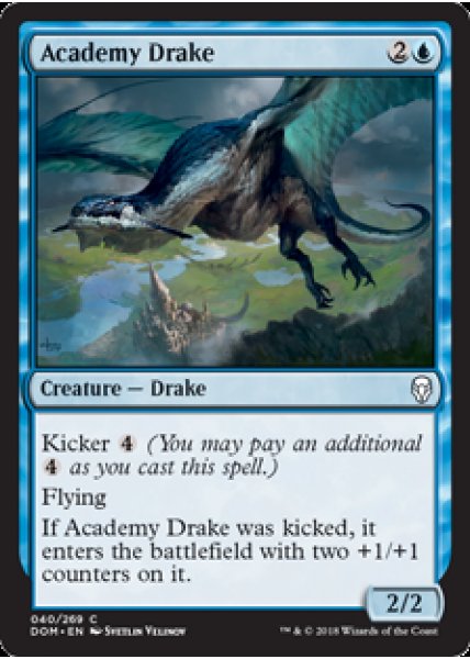 Academy Drake