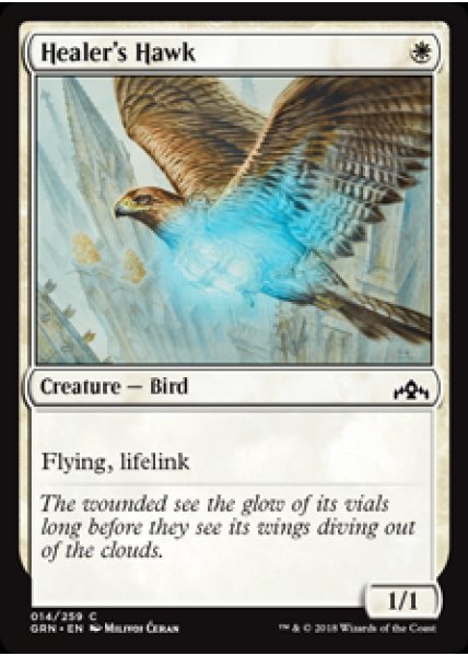 Healer's Hawk - Foil