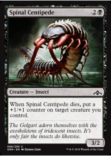 Spinal Centipede - Foil