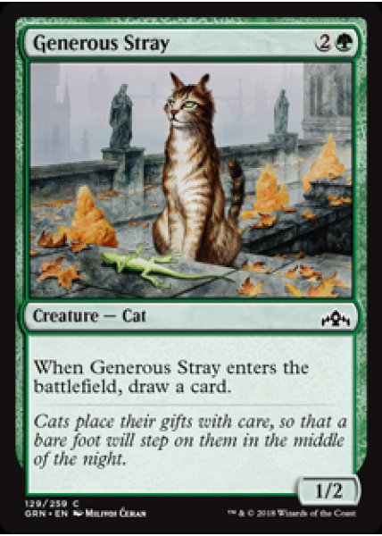 Generous Stray - Foil