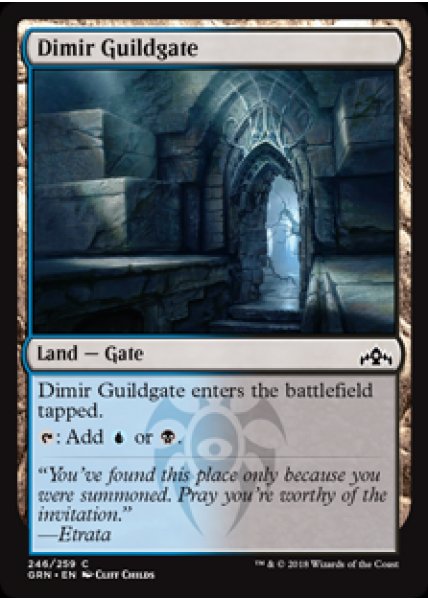 Dimir Guildgate (b) - Foil