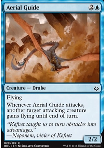 Aerial Guide - Foil